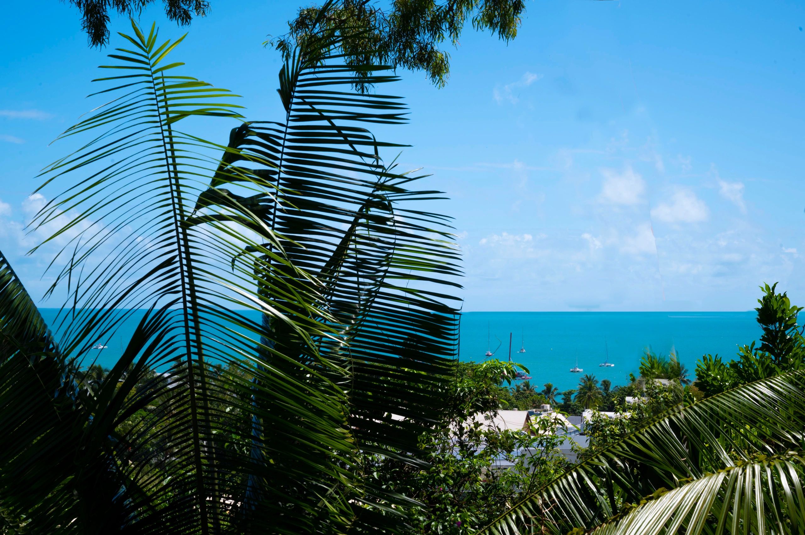 Freshwater Airlie Beach Airbnb